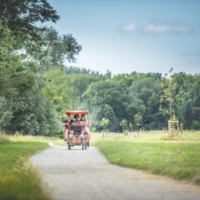 ILE DE LA RONDE VDS HD © PROD03 (12)