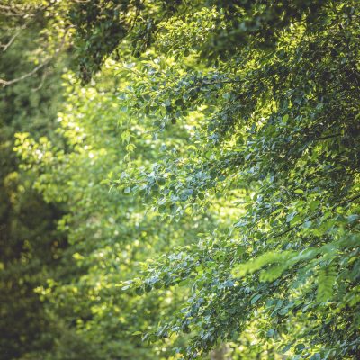 ILE DE LA RONDE VDS HD © PROD03 (26)