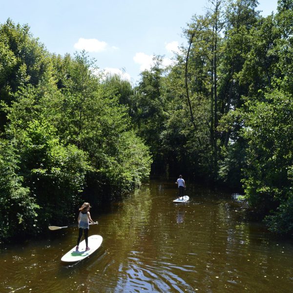 PADDLE 2018 ©OT Val de Sioule (1)
