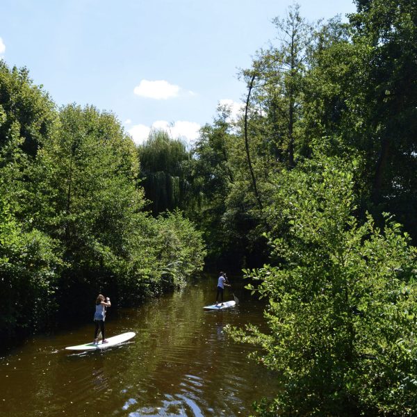 PADDLE 2018 ©OT Val de Sioule (3)